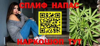 сатива Бийск