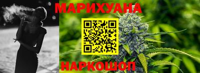 сатива Бийск