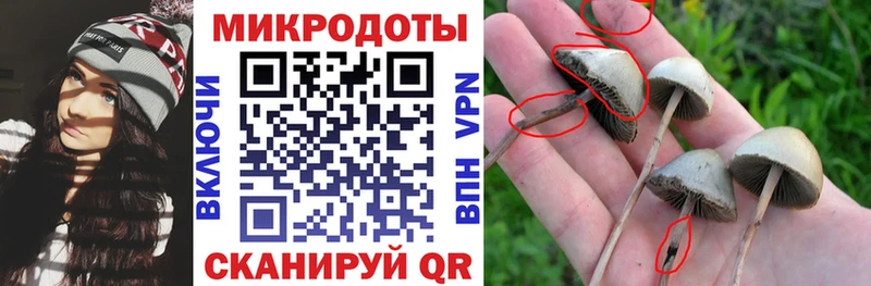 купить   Миллерово  нарко площадка какой сайт  Псилоцибиновые грибы Psilocybe 