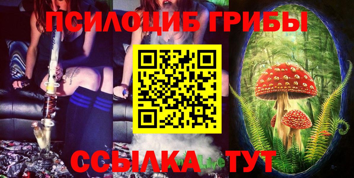 Миллерово  Галлюциногенные грибы Psilocybe  Псилоцибиновые грибы GOLDEN TEACHER  Вход с VPN 